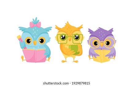 Funny Owl in Glasses Reading Book Vector Set