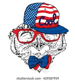 Funny owl glasses, tie and cap. Vector illustration for a card or poster. Print on clothes and accessories. Bird painted by hand.