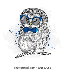 Funny Owl With Glasses And A Tie. Vector Illustration.