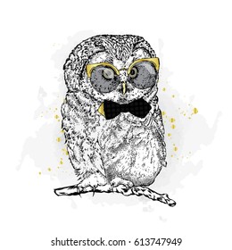 Funny Owl With Glasses And A Tie. Vector Illustration.