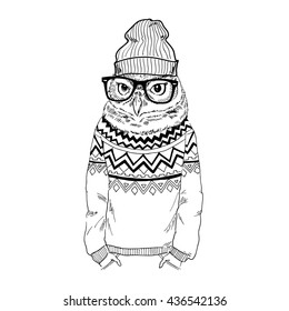 funny owl hipster in jacquard pullover, furry art illustration, fashion animals