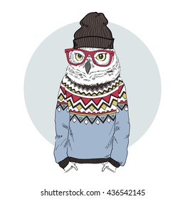 funny owl hipster in jacquard pullover, furry art illustration, fashion animals