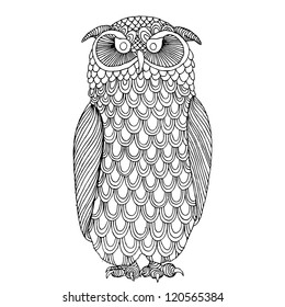 Funny owl illustration- original drawing vectorized