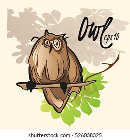 Funny owl made in cartoon style. Isolated vector illustration.
