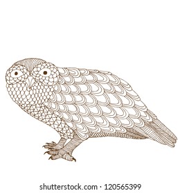Funny owl- original drawing vectorized