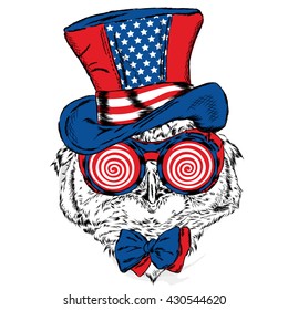Funny owl in an unusual hat and sunglasses.  Hipster. Fashion & Style.