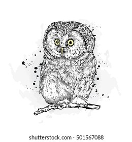 Funny Owl. Vector Illustration. Vintage.