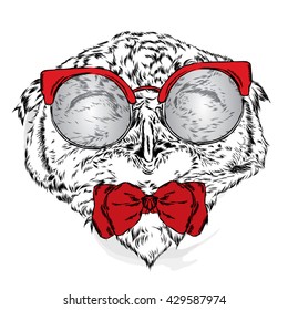 Funny owl wearing glasses. Vector illustration for a card or poster. Print on clothes and accessories. Bird painted by hand.