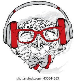 Funny owl wearing headphones and sunglasses. Vector illustration for greeting card, poster, or print on clothes. Hipster. Bird clothing. Fashion & Style. Music.