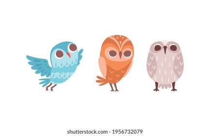 Funny Owlet with Big Eyes as Comic Nocturnal Bird Vector Set