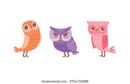 Funny Owlet with Big Eyes as Comic Nocturnal Bird Vector Set