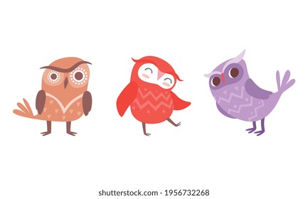 Funny Owlet with Big Eyes as Comic Nocturnal Bird Vector Set