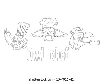 Funny owls, set on a chef theme, on an isolated background