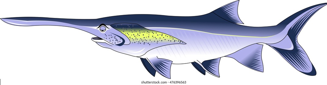 funny paddlefish. Editable vector illustration isolated on white background