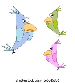 funny painted birds