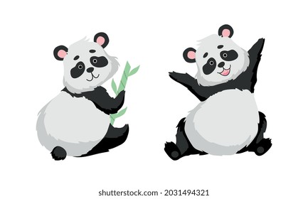 Funny Panda Bear with Black-and-white Coat and Rotund Body Sitting with Bamboo Vector Set