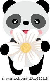 Funny panda with a flower daisy