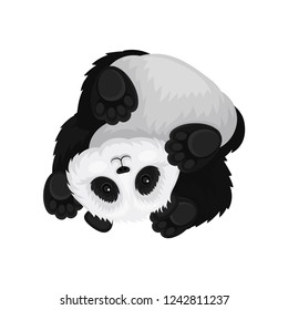 Funny panda upside down. Bamboo bear with fluffy black and white fur. Tropical animal. Flat vector design