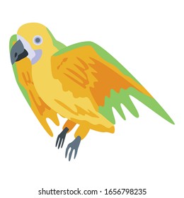 Funny parrot icon. Isometric of funny parrot vector icon for web design isolated on white background