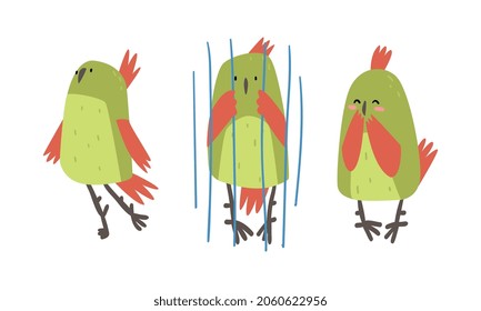 Funny Parrot Sitting in Cage and Dancing Vector Set