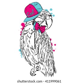 Funny parrot wearing a cap. Vector illustration.