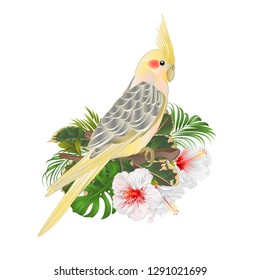 Funny  parrot yellow cockatiel cute tropical bird  and white hibiscus watercolor style on a green background vintage vector illustration editable hand draw