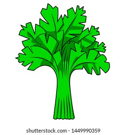 Funny Parsley in cartoon style. Concept Fruits and vegetables. Summer.