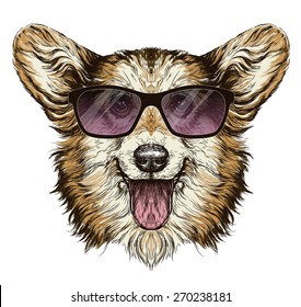  Funny Pembroke Welsh corgi dog. Vintage retro hipster style sketch of funny Pembroke Welsh corgi dog wearing sunglasses. vector illustration.