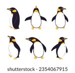 Funny Penguin as Aquatic Flightless Bird with Flippers Waddling and Standing Vector Set