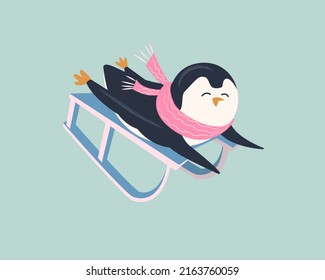 Funny penguin in  scarf  sledding. 