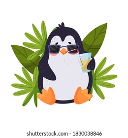 Funny Penguin Sitting on Beach Drinking Juice Vector Illustration