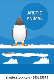 Funny penguin sitting in the snow. Vector drawing of a series of Arctic animals. Flat style illustration