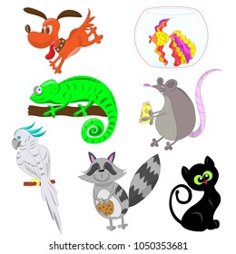 funny pet collection, isolated vector illustration