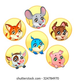 Caras divertidas para mascotas. Caricatura vectorial en personajes aislados.