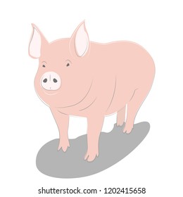 A funny picture of pig, a simple illustration. Vector.