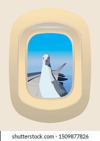 The funny picture - seagull outside  flying airplane window draw in vector