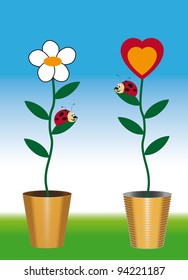 Funny picture of two ladybug on flower