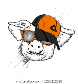 Funny pig in a cap and glasses. Cute pig. Clothes and accessories. Hipster. Vector illustration for greeting card or poster.