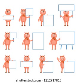 Funny pig characters posing with various blank banners, signs. Flat design vector illustration