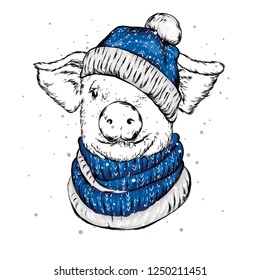 Funny pig in a Christmas hat and a shafe. Cute pig. Santa Claus. New Year's and Christmas. Vector illustration for greeting card or poster.