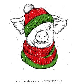 Funny pig in a Christmas hat and a shafe. Cute pig. Santa Claus. New Year's and Christmas. Vector illustration for greeting card or poster.