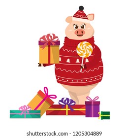 Funny pig in Christmas sweater and hat with gift and lollipop. Christmas pig cartoon vector illustration. 2019 New Year Chinese symbol. 