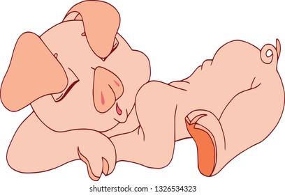 Funny pig, easter set. Funny animal icons and action, cute animal poses vector isolated symbol illustration. Sleepy pig, isolated, colorful pattern