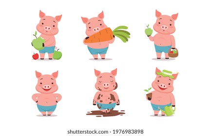 Funny Pig Eating Carrot, Splashing in Mud and Gardening Vector Set