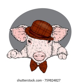 Funny pig in a hat and tie. Vector illustration for a postcard or a poster. Pig in clothes and accessories.