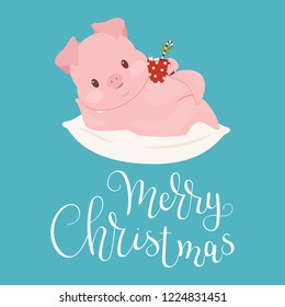 Funny pig laying on a pillow with hot cocoa. Merry Christmas hand lettering. Vector illustration