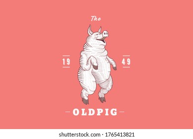 Funny pig. Print. Old-fashioned pet. artiodactyl for the farm. Vector illustration