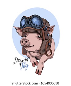 Funny Pig in a retro leather aviator helmet on a blue background. Vector illustration.