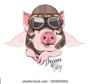 Funny Pig in a retro leather aviator helmet and with a wings. Vector illustration.