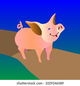 funny pig running into the distance